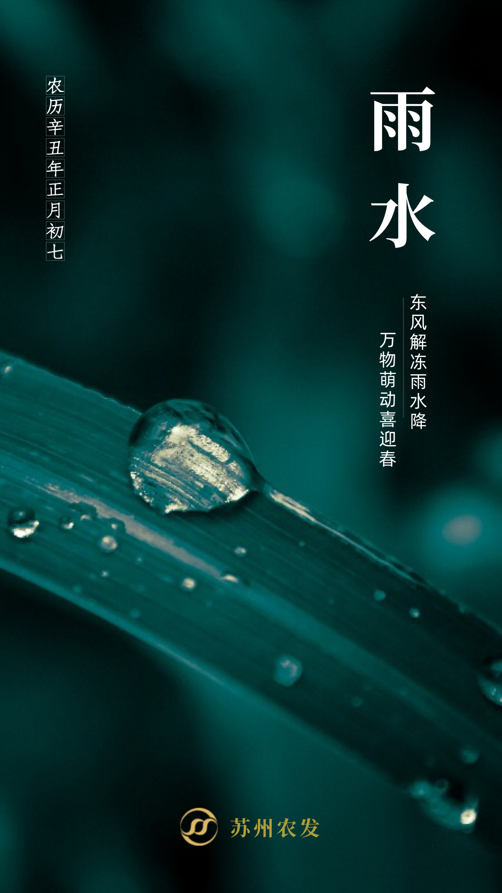 2雨水.png